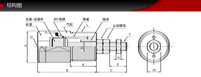 FCS-20-22-S0/S1-P藤倉(cāng)標(biāo)準(zhǔn)氣缸(圖6)