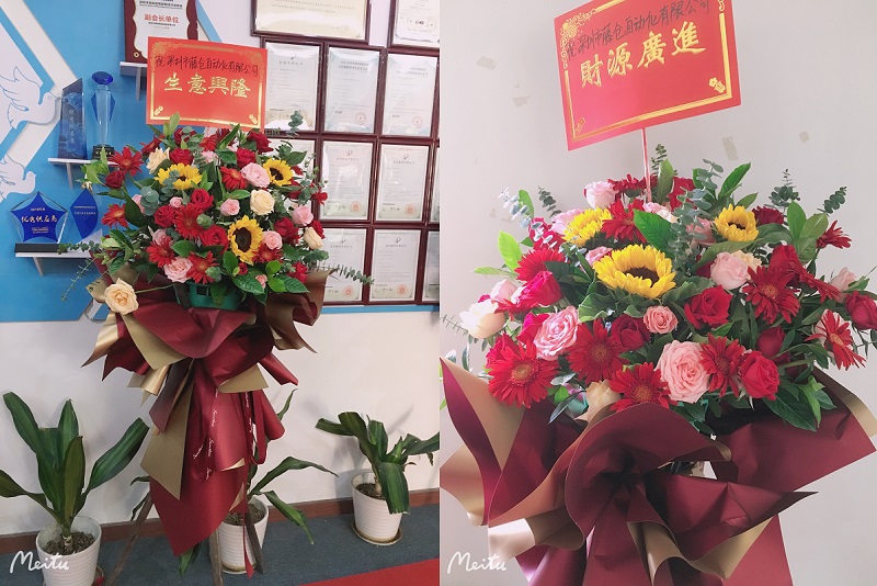 迎春花