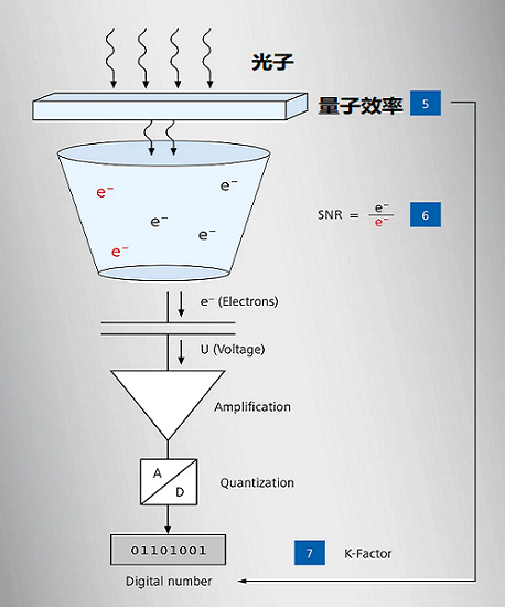 CMOS傳感器的工作原理和主要特點(diǎn)實(shí)現(xiàn)精確的圖像評(píng)估(圖2)