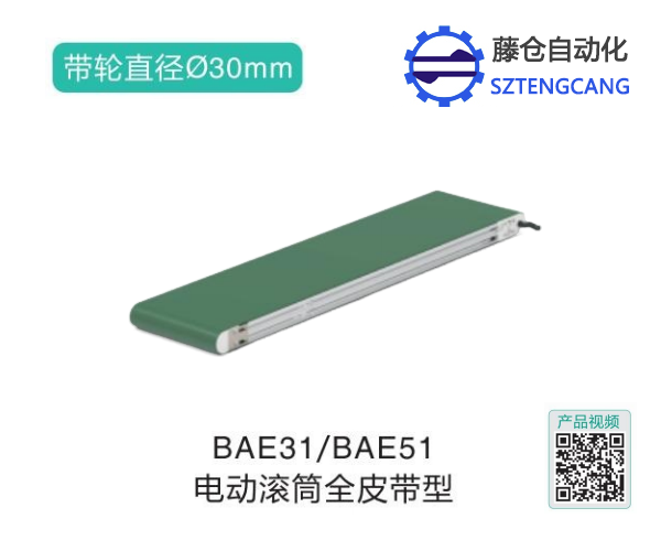 全皮帶型BAE31/BAE51電動(dòng)滾筒輸送機(jī)