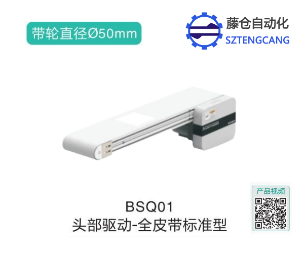 全皮帶標(biāo)準(zhǔn)型頭部驅(qū)動(dòng)移動(dòng)式輸送機(jī)BSQ01
